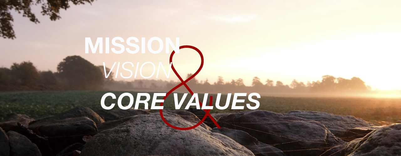Mission & Vision & Core Values